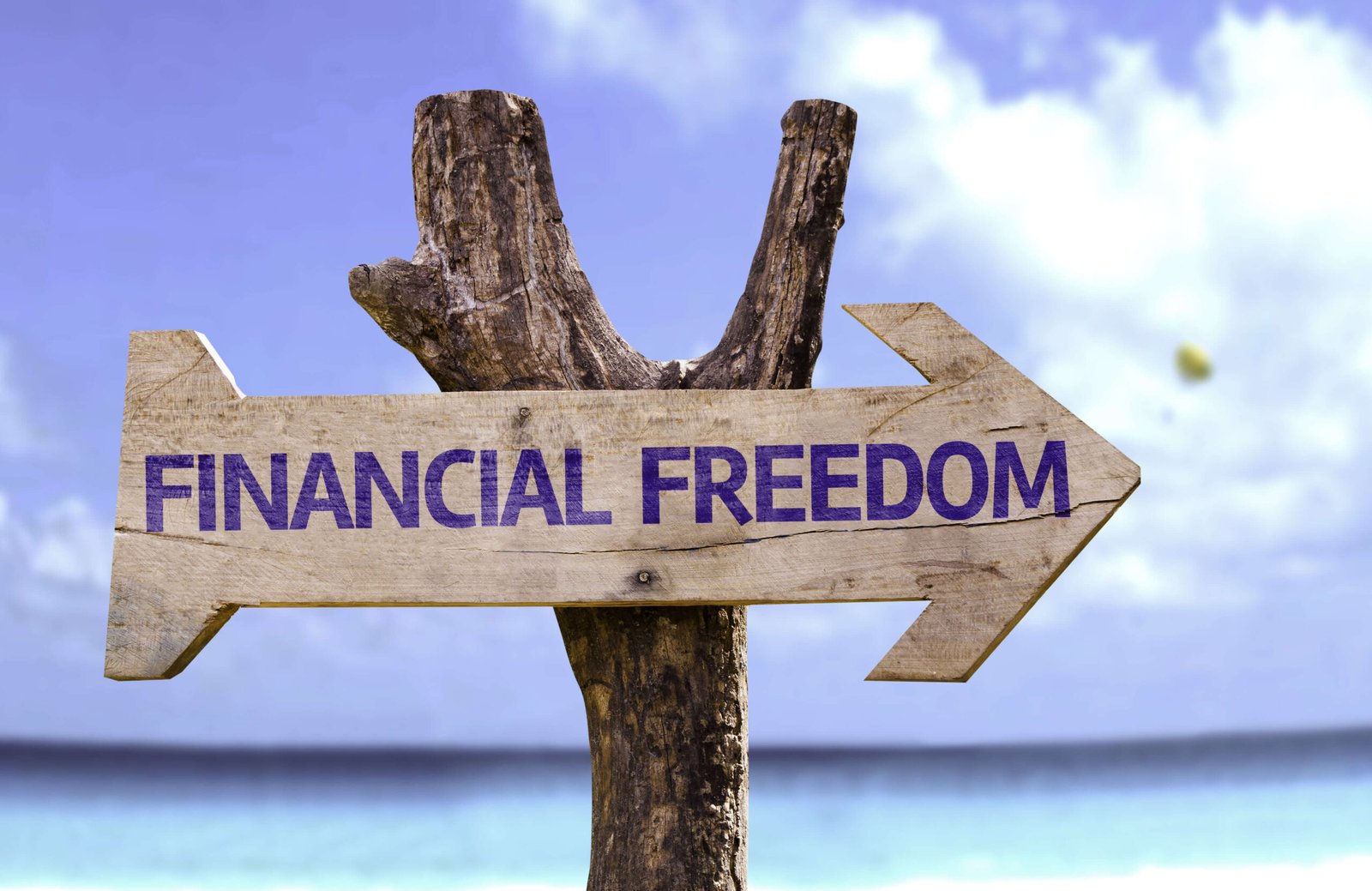 financial freedom salaried Indians